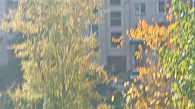 VID_20260928_115155_020001.mp4