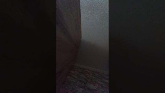 демо запись которую я удалю минут через 5.mp4