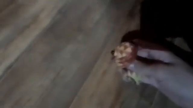 Супер Смэш Брос серия 38 Гости