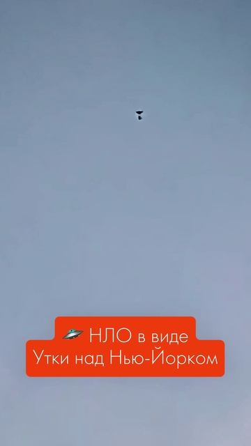  НЛО в виде Утёнка сняли в Нью-Йорке