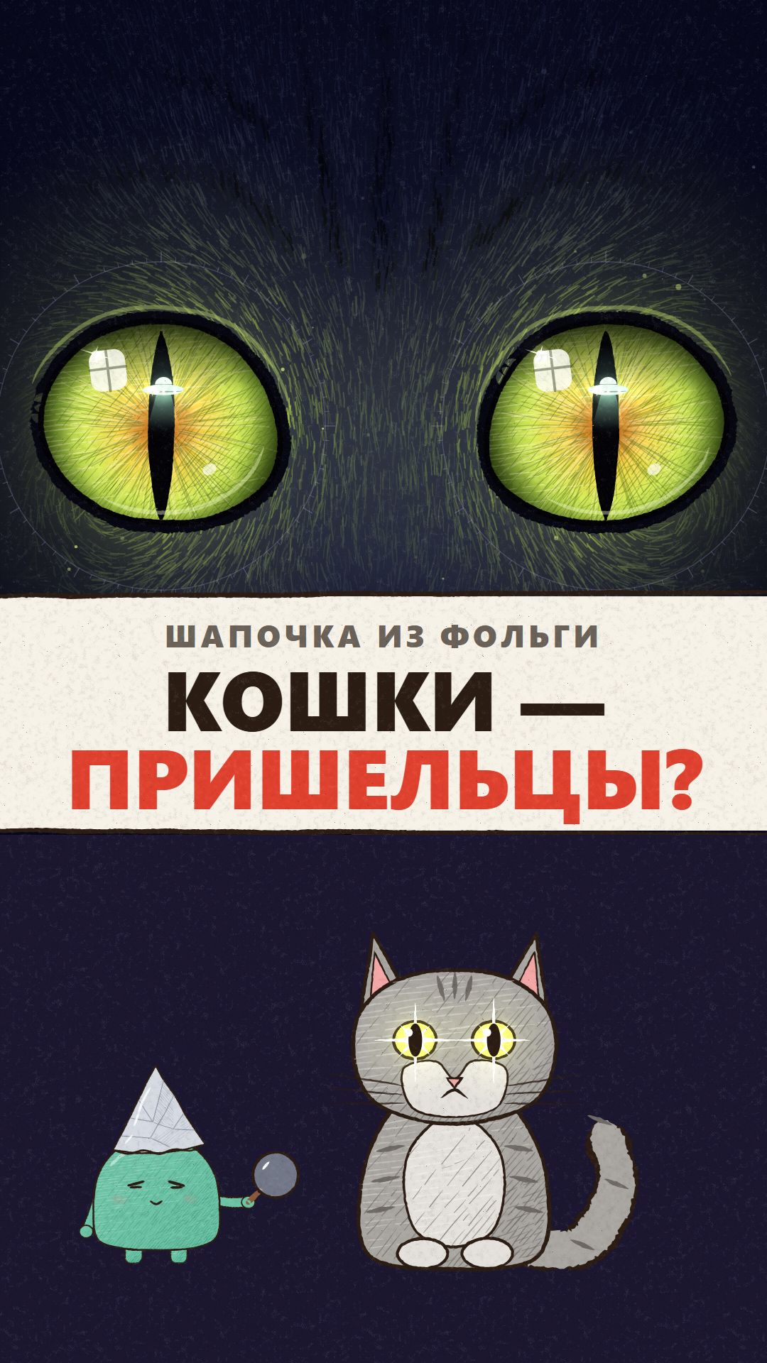 Кошки — пришельцы? 🐈👽 Шапочка из фольги