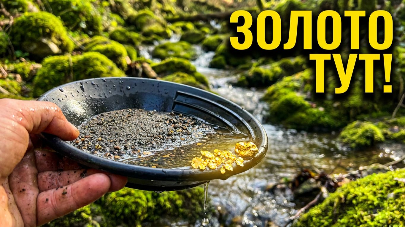 Скопление Золота в повороте золотоносного ручья!