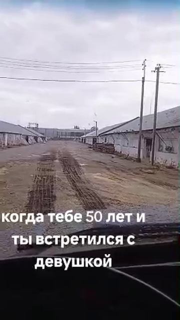 приколы смех юмор животные