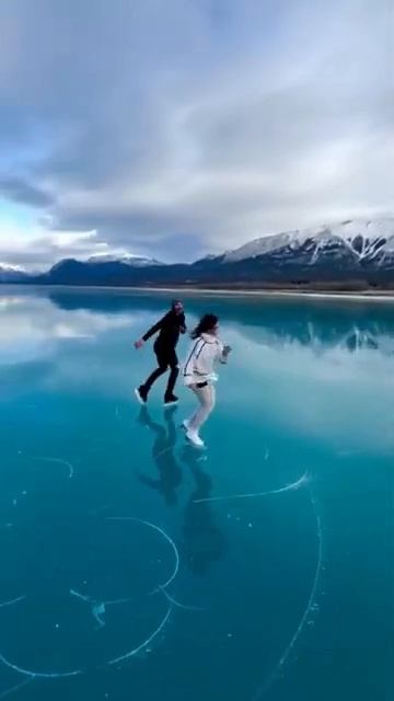 красота
