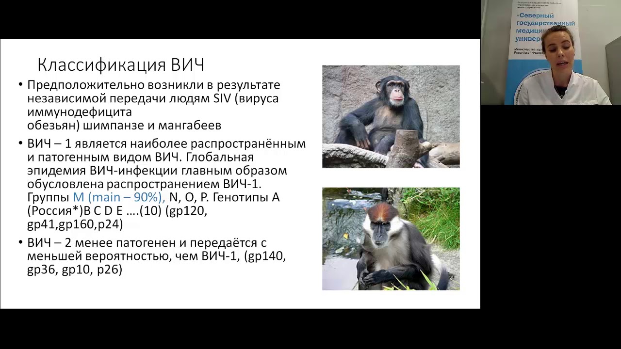Лекция Вирус Иммунодефицита Человека