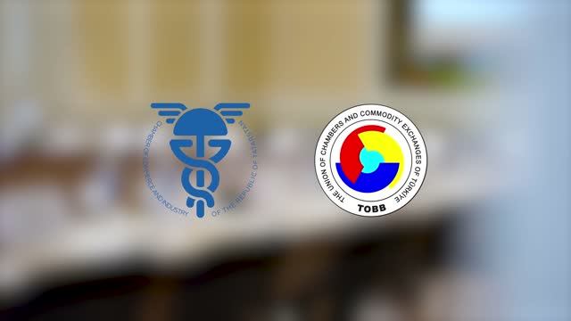 Круглый стол с участием делегации Союза палат и товарных бирж Турции ТОВВ