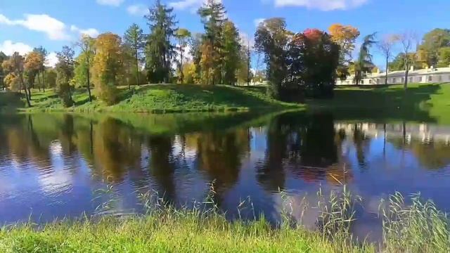 Парк.