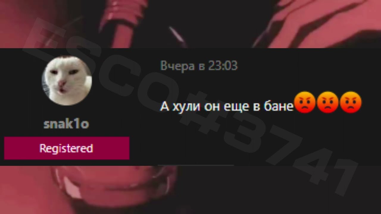 РАНДОМНЫЕ СООБЩЕНИЯ ФОРУМ МАДЖЕСТИК