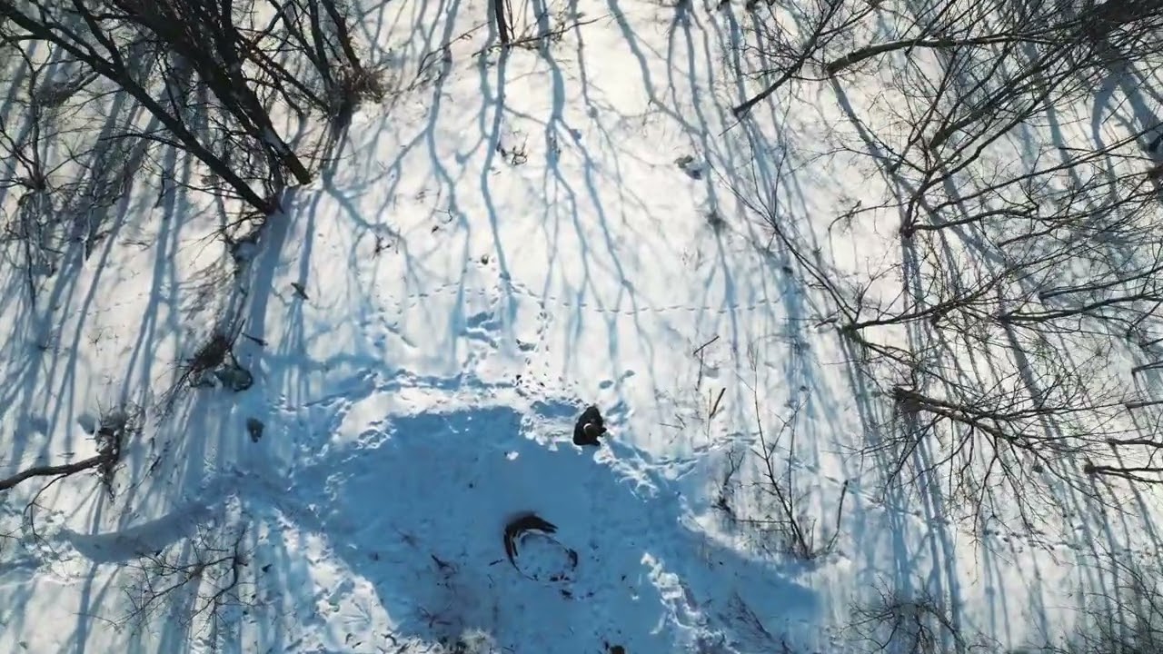 Автомонтаж dji mini 3 pro