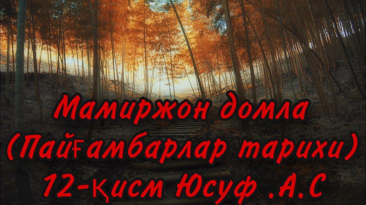 Мамиржон домла Пайғамбарлар тарихи12-қисм Юсуф .А.С