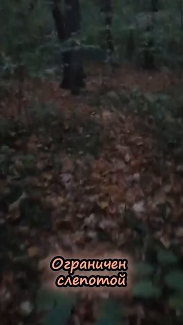 По тропинкам