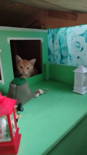 Кто? Кто в домике живёт?