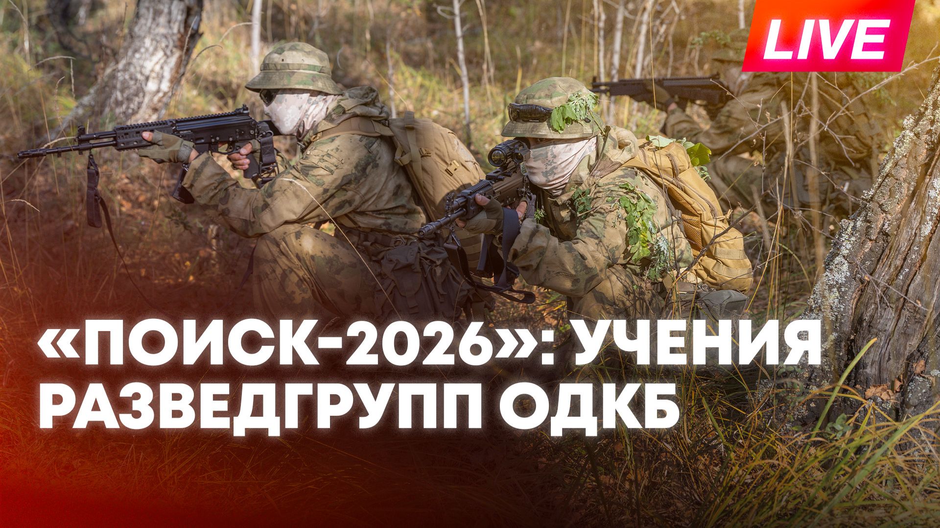 Разведчики ОДКБ вышли на Поиск: яркие кадры учений