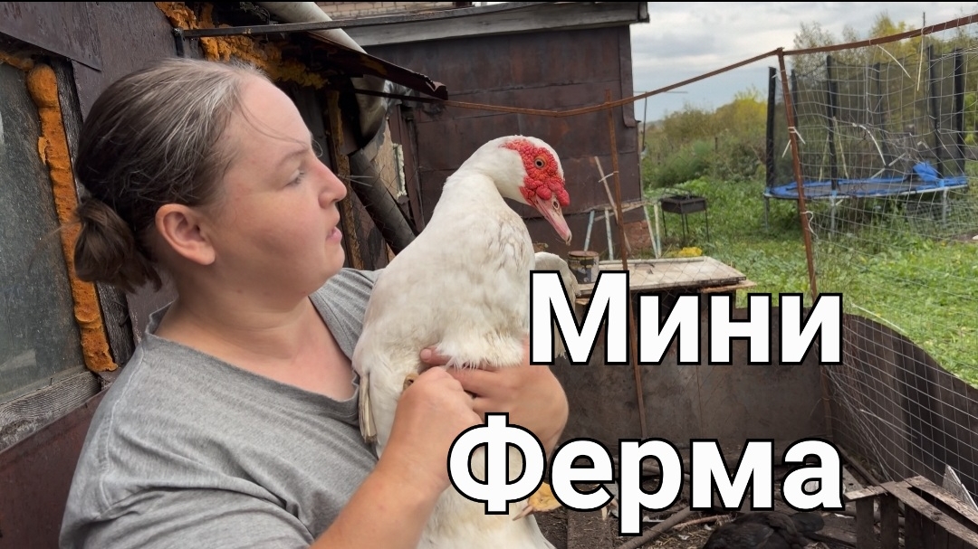 Жизнь на краю села. Все животные сытые хозяйство деревня