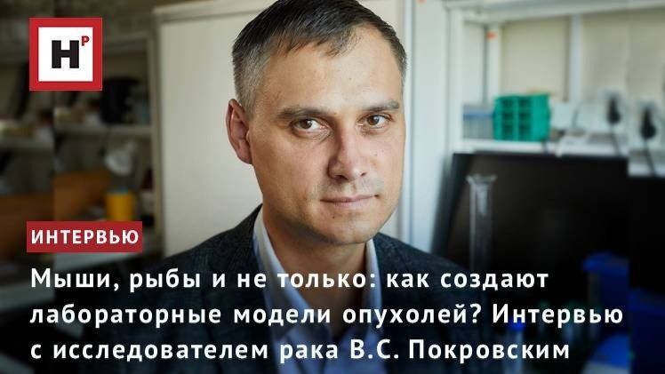 Как создают лабораторные модели опухолей? Интервью с д.м.н. В.С. Покровским
