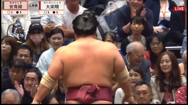 Все поединки Аониськи с Аки Басё 2026 Сумо на русском All bouts Aonishiki Aki B