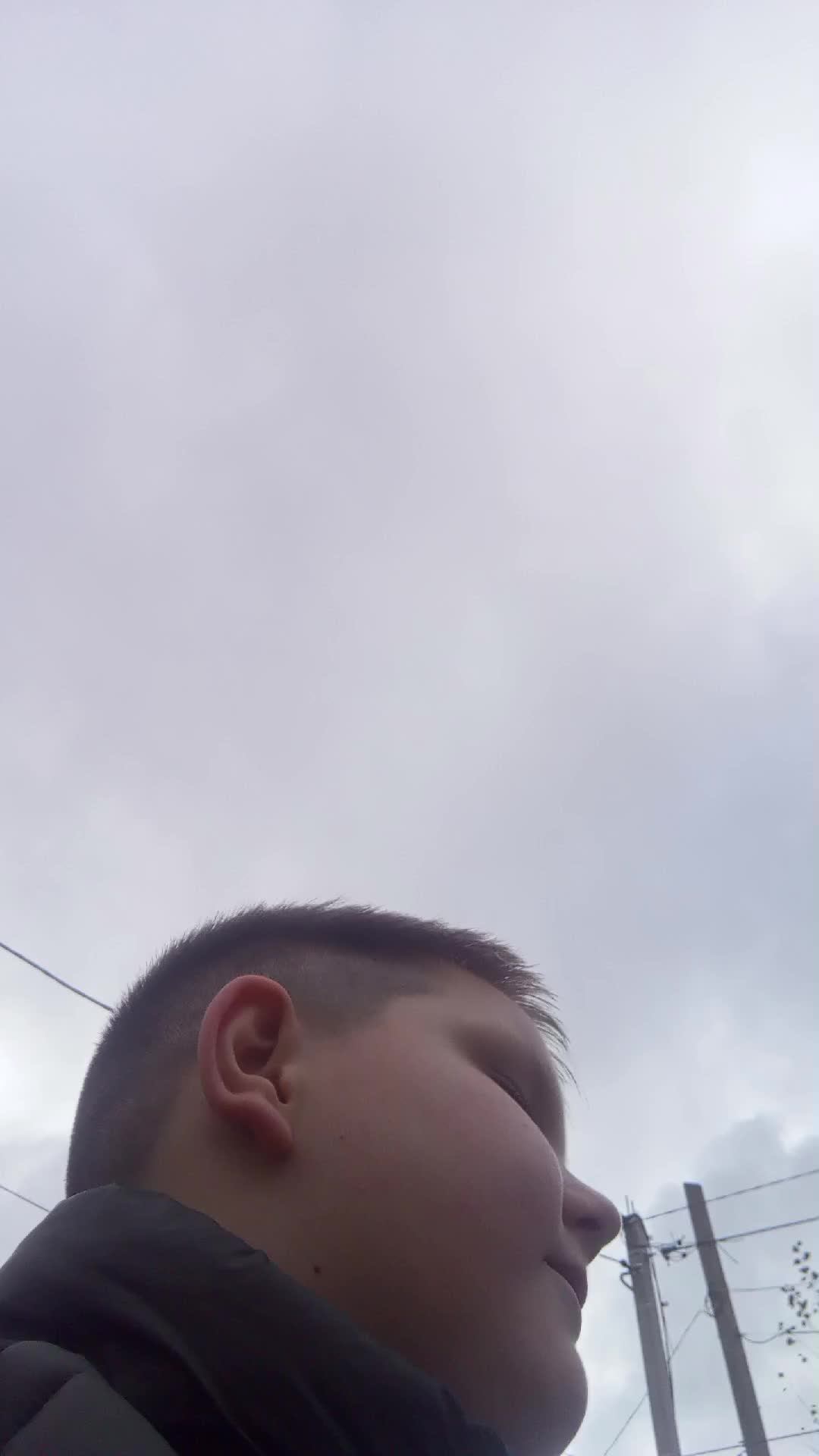 я иду домой  гуляю и буду дома