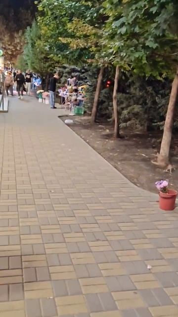 Краснодар 26.09.26
