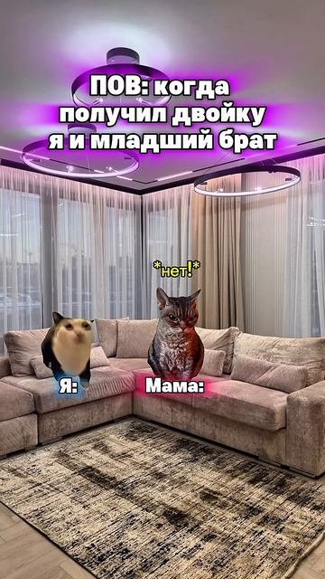 Жиза старших в семье котята мемы жиза шортс