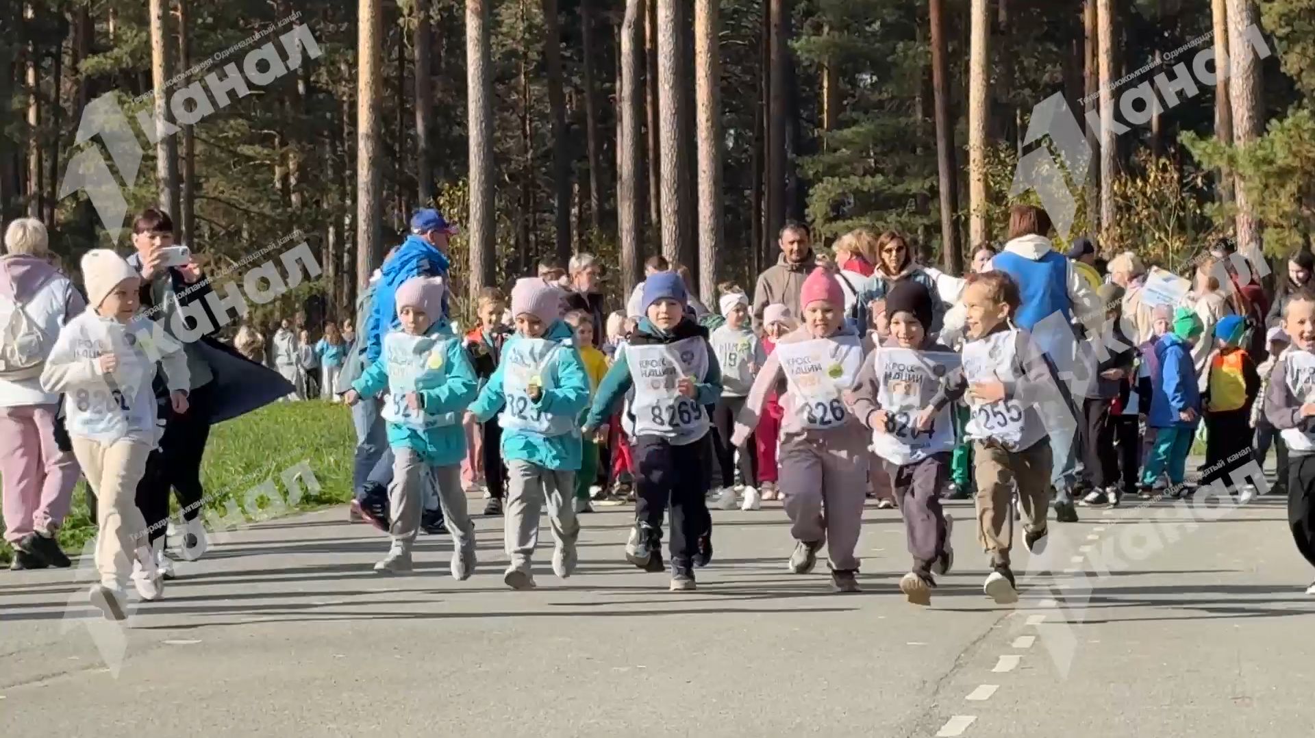 Кросс нации - 2026