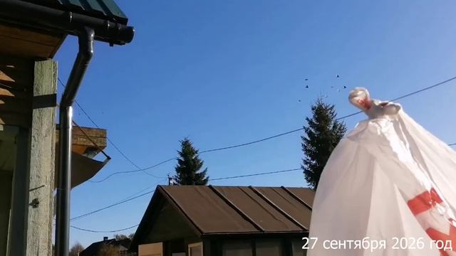 7 соток. Утро пасмурно. Солнечный денек. Чем занималась в выходной. Хроника 27 сентября 2026 год