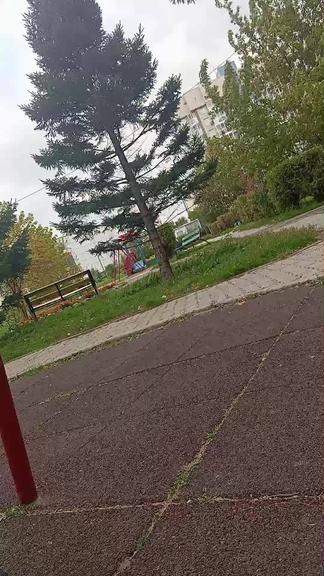 мммпи