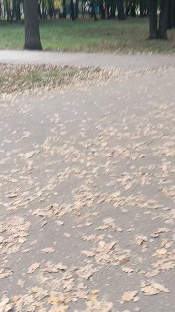 Молодец Просто играет на баяне.