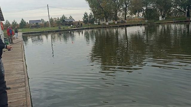 1000103520.mp4