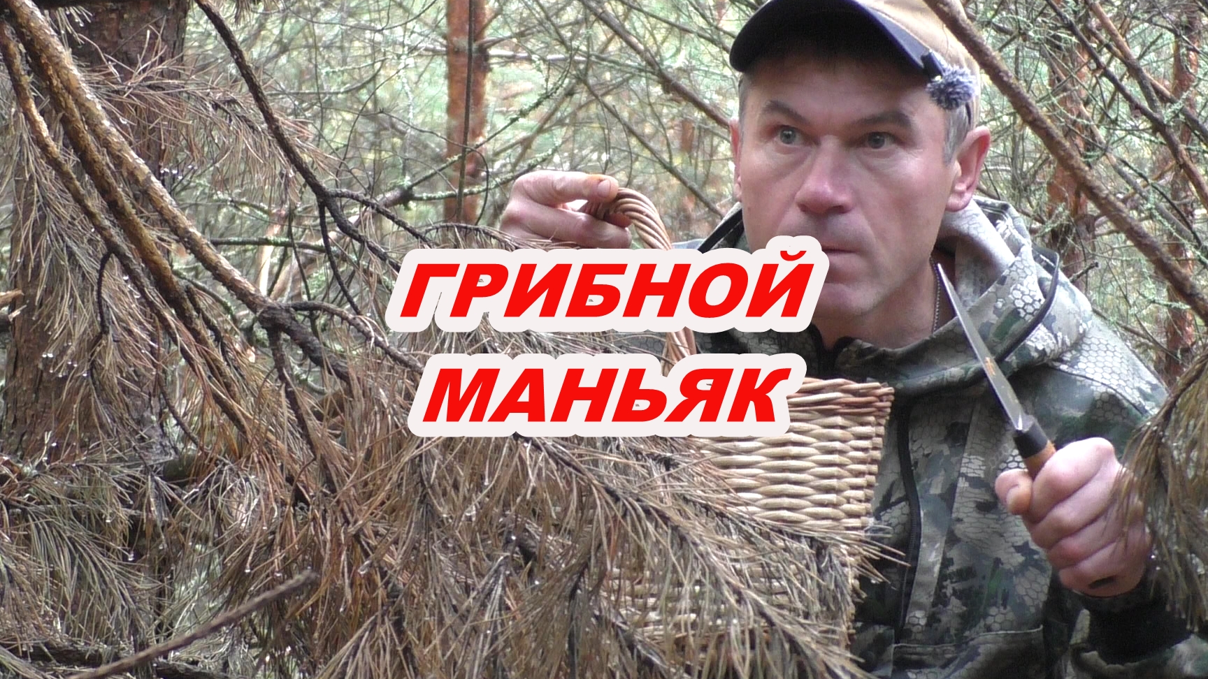 ГРИБНОЙ МАНЬЯК ВЫШЕЛ НА ОХОТУ!  ЧТО Я НАШЕЛ В ЛЕСУ? 