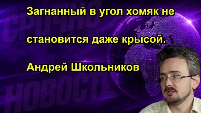 Загнанный в угол хомяк не становится даже крысой. Андрей Школьников