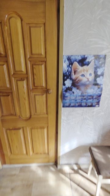 Дом в селе Костино