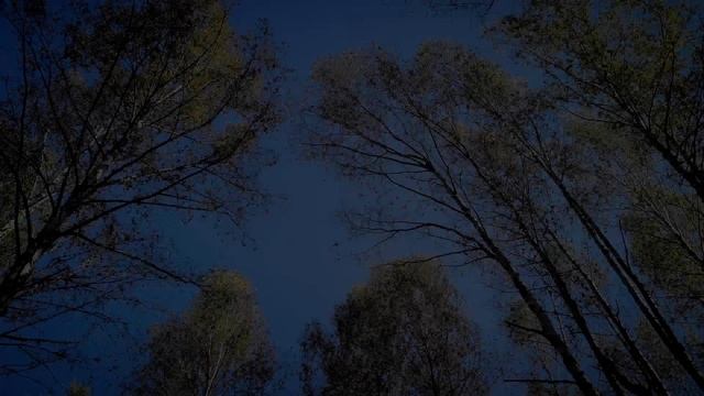 Осенняя зарисовка