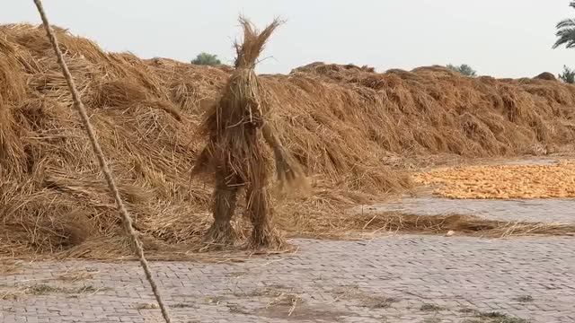 Пранк. Бушмен в соломе