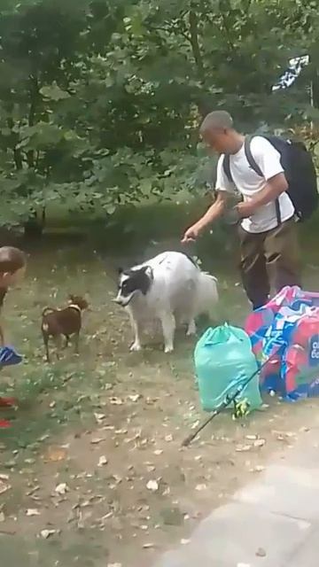 Как у людей! Умный уступает!..