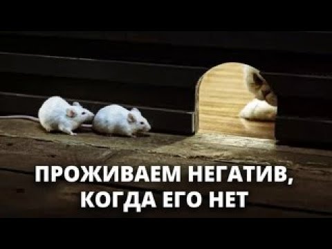 ПРИНУДИТЕЛЬНОЕ МЫШЛЕНИЕ