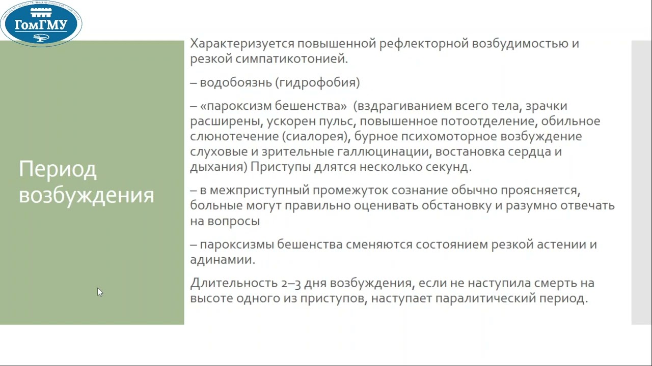 Зубкова Ж.В. Бешенство