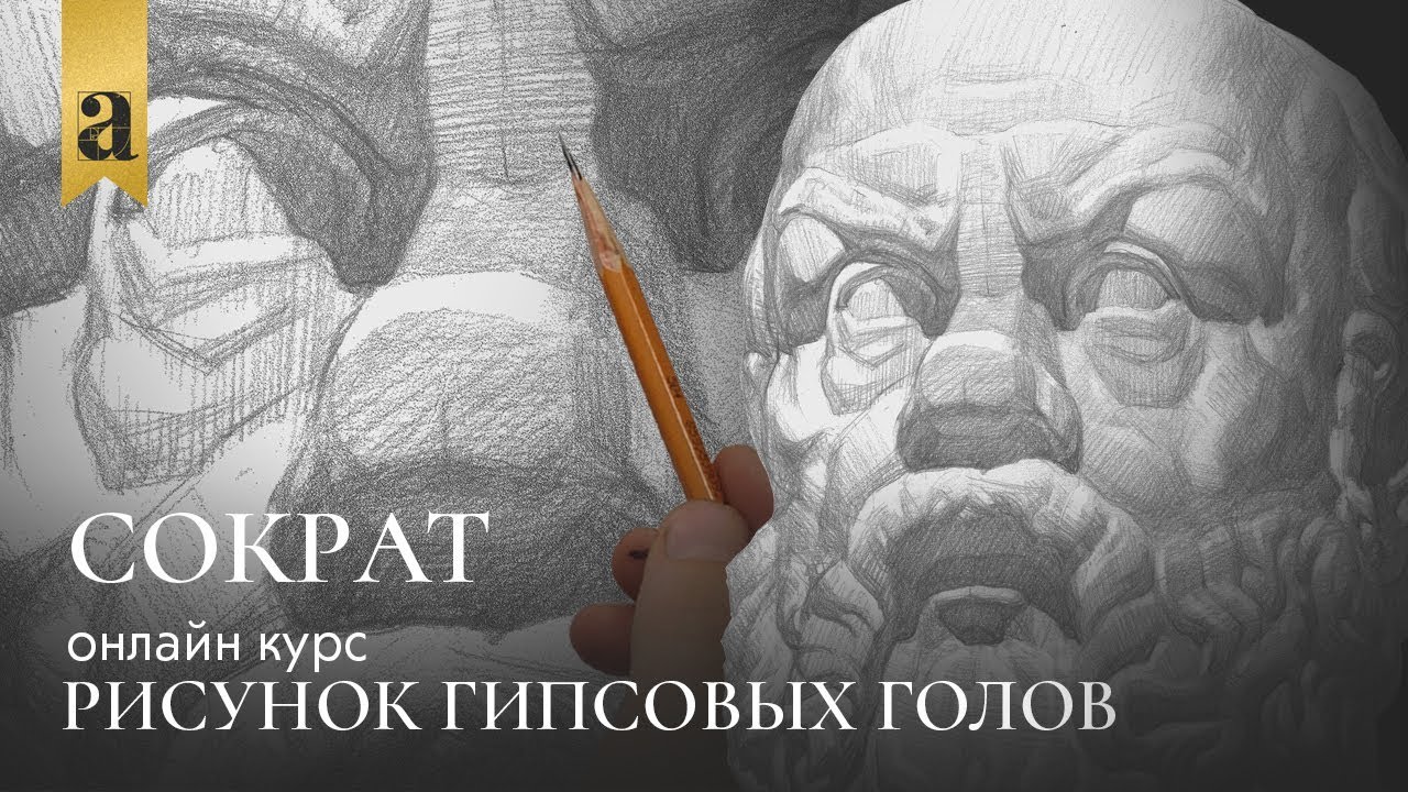 Голова Сократа - Рисунок гипсовых голов | Художник Андрей Томский ~ Онлайн-школа Akademika