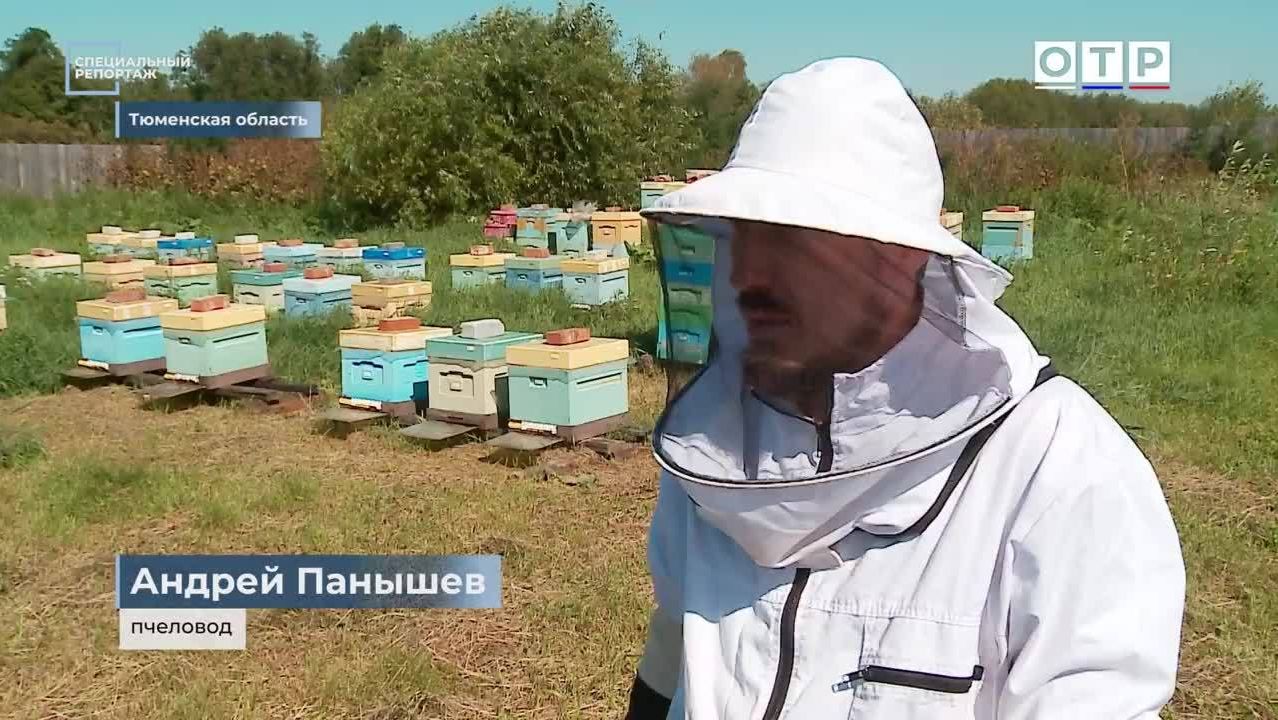 Горький мед. Битва за урожай