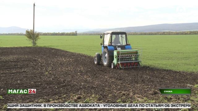 В Ингушетии проверяют семена озимых культур перед посевной