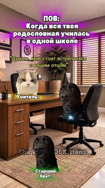 Не стоило разбрасываться словами котята мемы жиза шортс