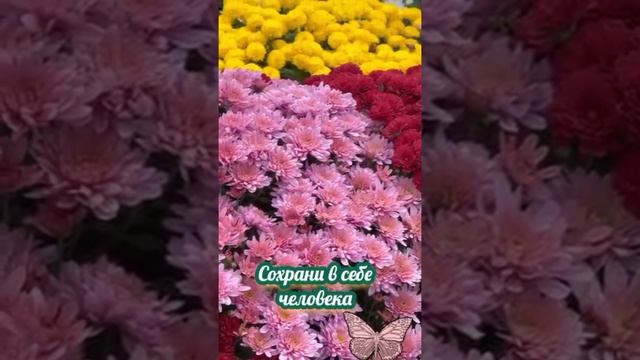 YouCut_20260927_192804848.mp4