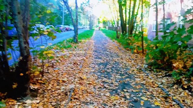 ОСЕННЯЯ прогулка  Мой район Зарека Карелия Петрозаводск