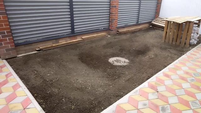 Сажаем деревья. Навожу порядок на участке.