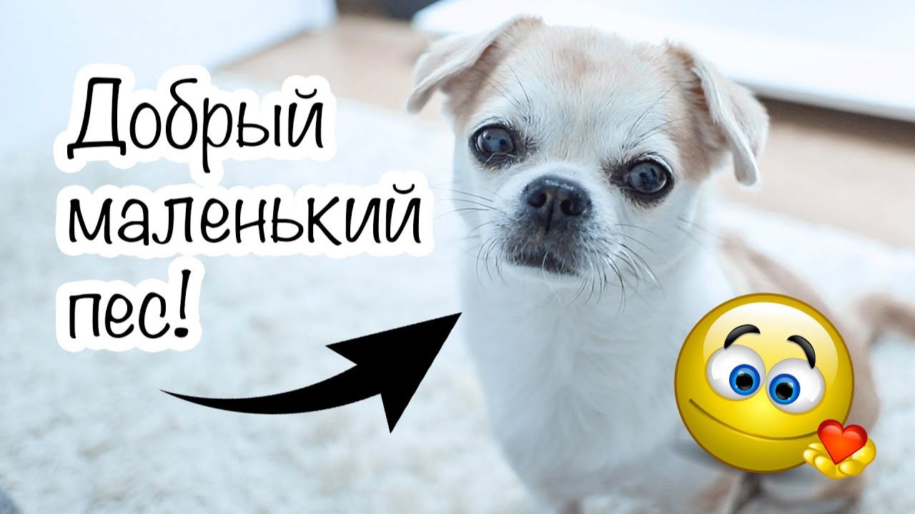 Что мы купили для нашей малышки