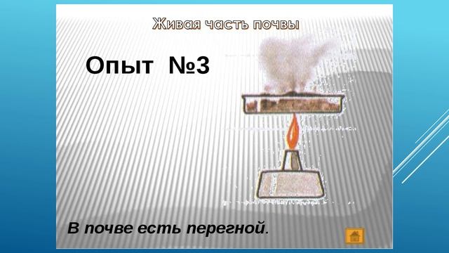 29.09. 241 гр. Основы агрономии. Состав, свойства и типы почвы.