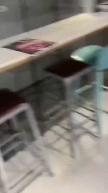 это кошка моей подруги  доброе утро 