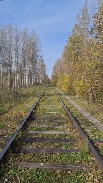 Сентябрь гулял кружил листвой. ОСЕНЬ.