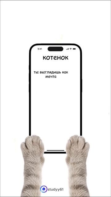Поясняю на котятах
