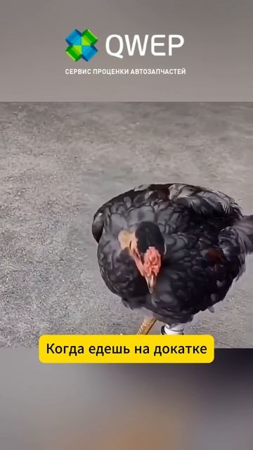 Потерпим автозапчасти юмор автомагазин бизнес авто автобизнес сто автосервис