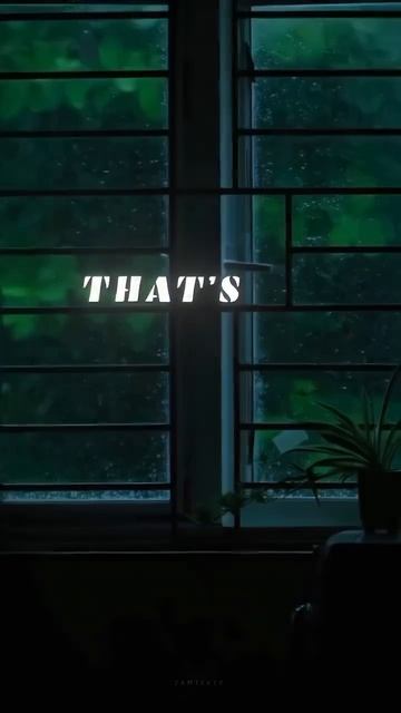 1000004031.mp4